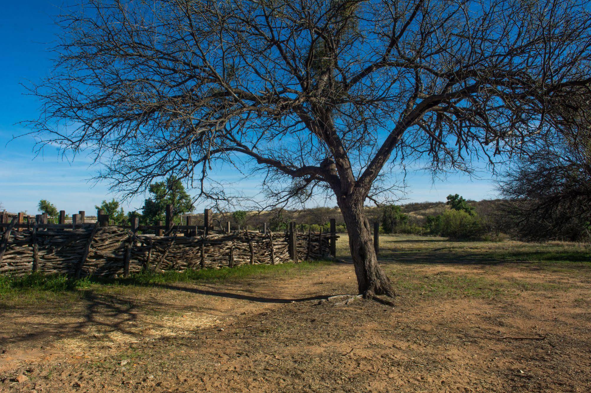 Rancho De La Osa Guest Ranch Hotel Sasabe Kültér fotó