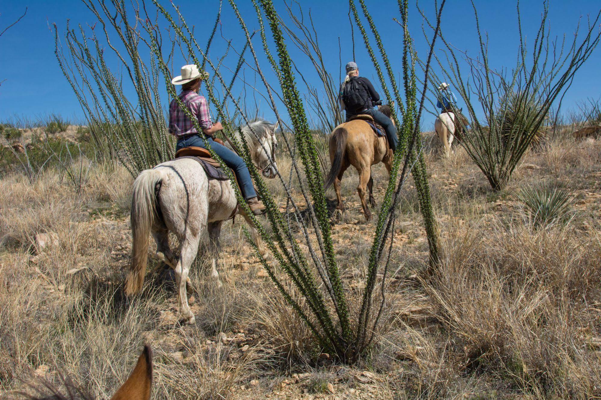 Rancho De La Osa Guest Ranch Hotel Sasabe Kültér fotó